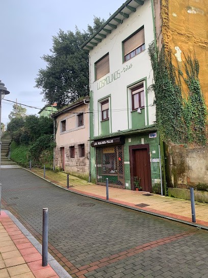 Telas Los Molinos